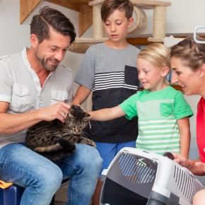 Valuable advice for cat adoption in 2024 from Southill Vets