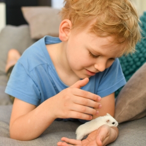 Teach Kids to Hold Hamsters and Other Small Pets Safely