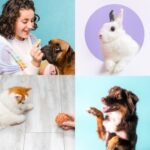 Trick Training for Dogs, Cats and Rabbits with Southill Vets 