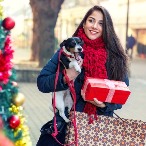 Dog-Friendly Places to do Your Christmas Shopping in Wincanton