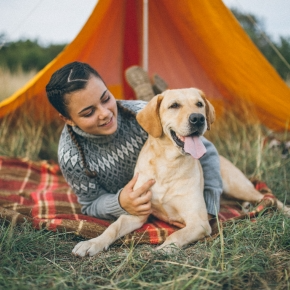 New Year Bucket List Adventures for Dogs in Wincanton