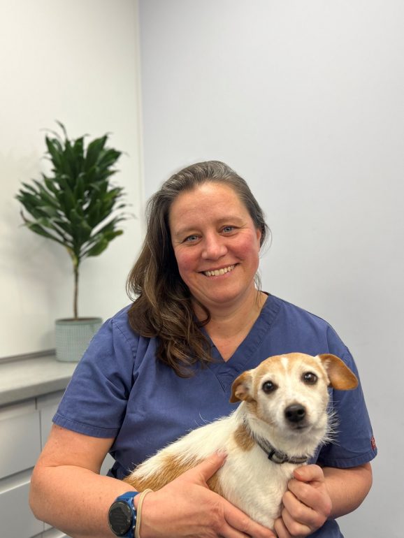 Laura Pattinson BVM&S MRCVS