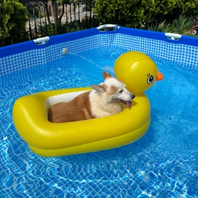 Summer Pet Water-Safety Tips from our Vet Bob O’Brien