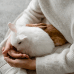 How to Bond with Rabbits and Guinea Pigs