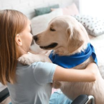 How to Keep Your Pet’s Routine Stable During School Holidays